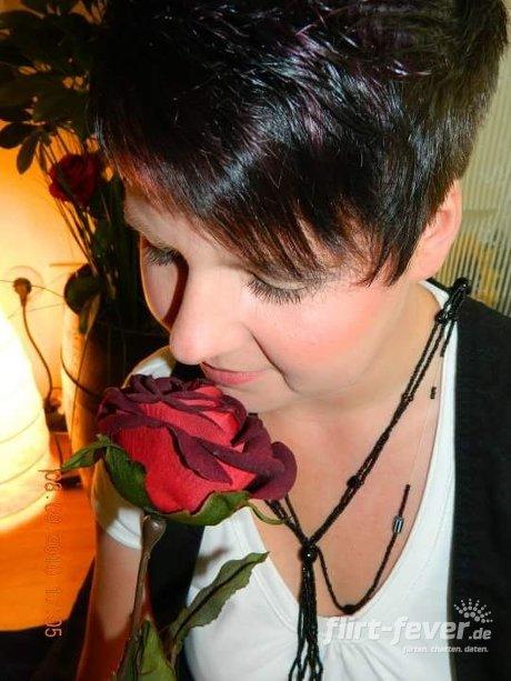 Single frauen haselünne